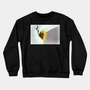 Keep your face to the sunshine... Crewneck Sweatshirt